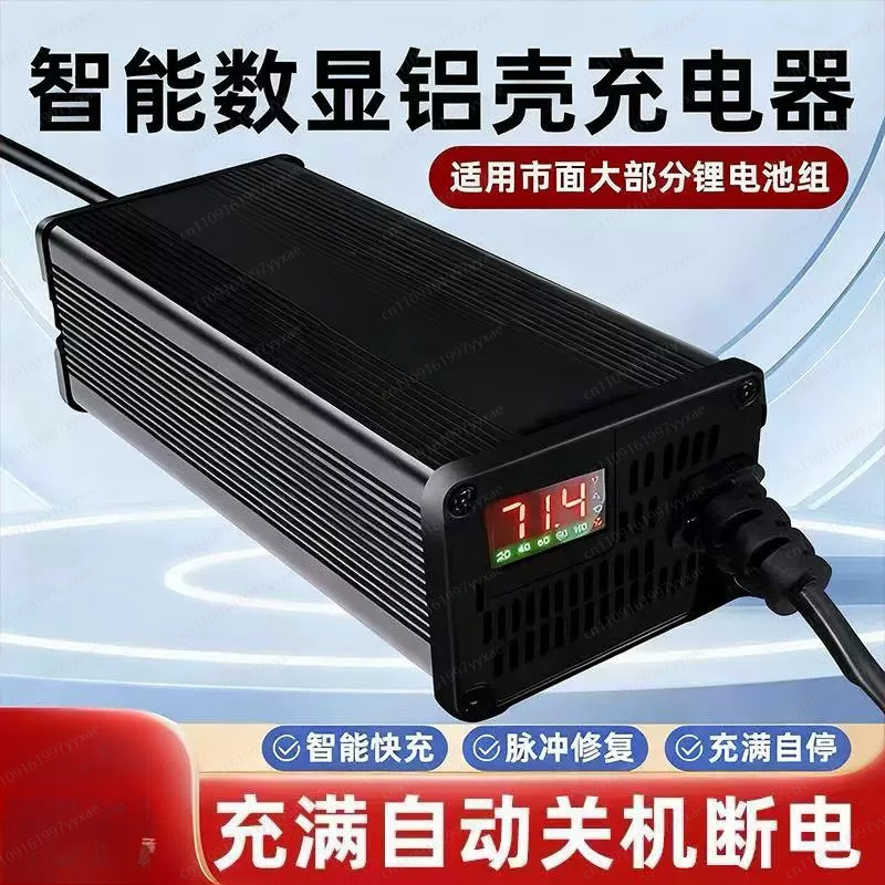 Pengisi Daya LiFePO4 Li-ion Pi - 72V 15A Fast Charger ulasan dan harga